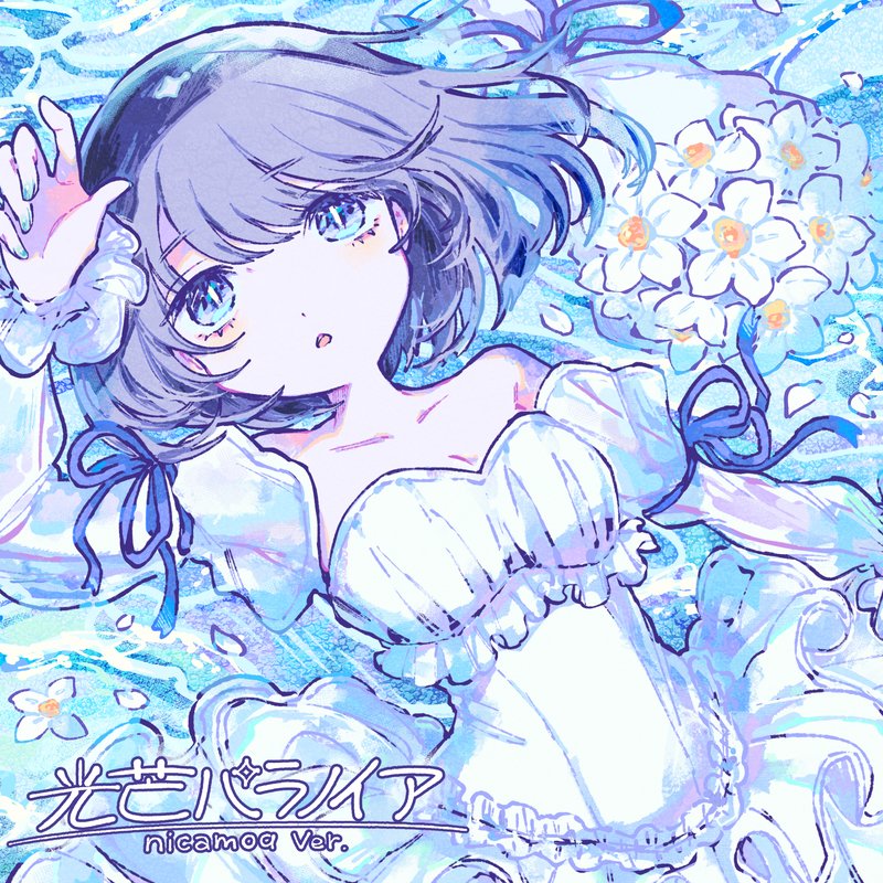 picco – 光芒パラノイア feat.niamoq